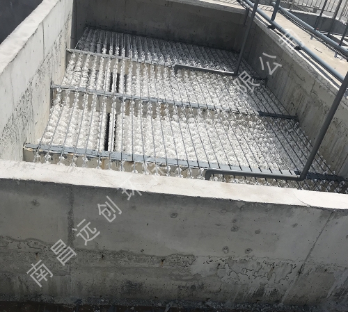 樟樹安澤麥